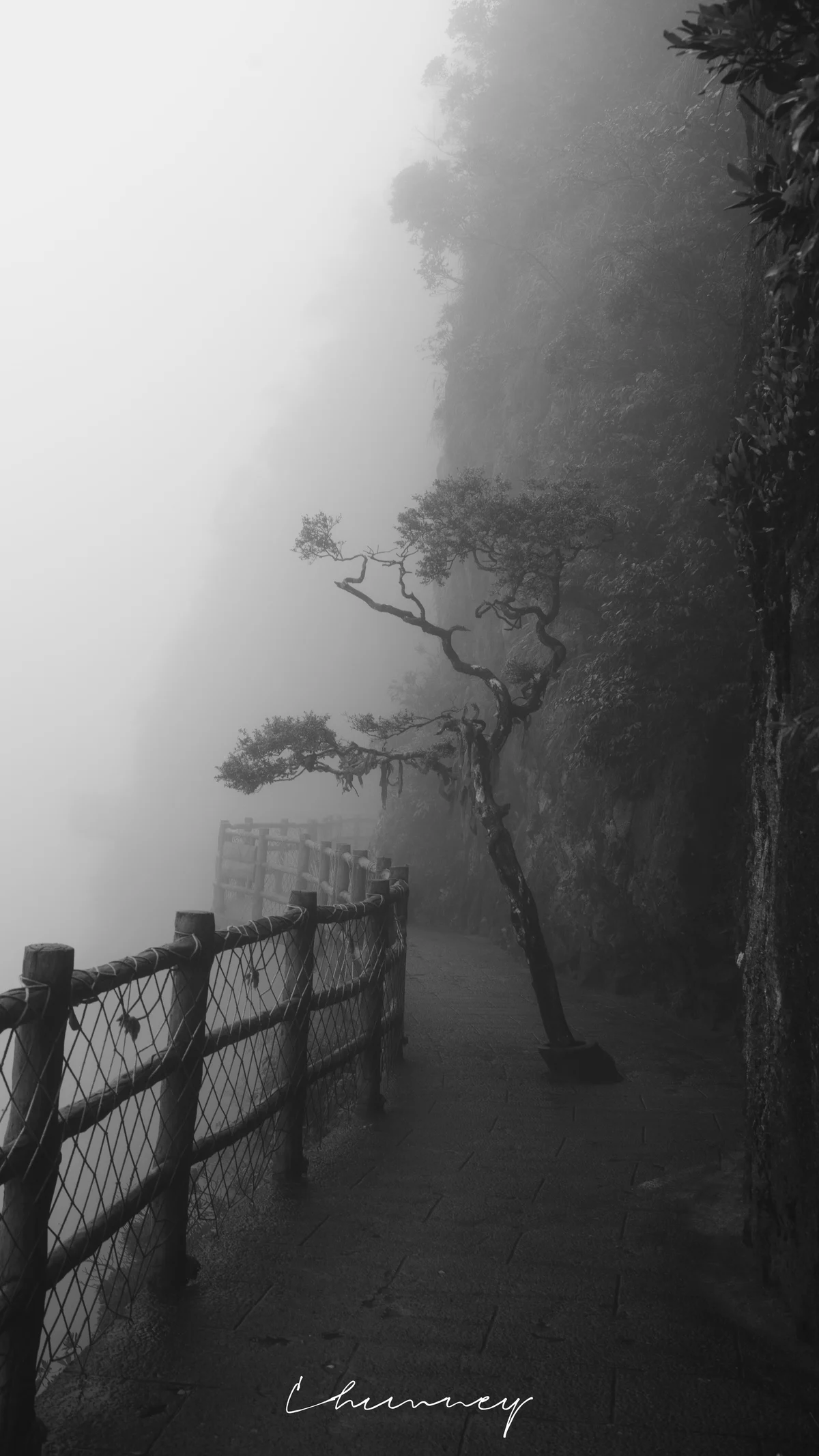 栏杆通向雾，雾通向哪里没人知道